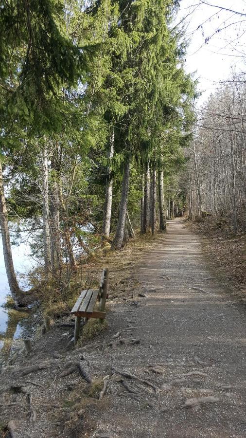 מיסן-וילהאמס Fewo Friado Im Ferienpark Oa - Ohne Zusatzkosten Nach Anreise - Mit Hallenbad, W-Lan, Pkw-Garage, Kurtaxe Mit Allgaeu-Walser-Pass, Bett- Und Handtuch-Waesche Sowie End-Reinigung מראה חיצוני תמונה